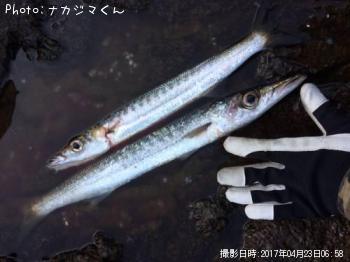 �����ᥫ�ޥ�