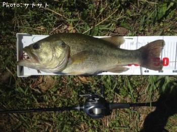 ¥Ö¥é¥Ã¥¯¥Ð¥¹