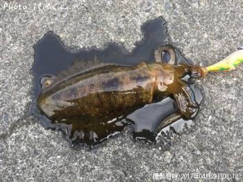 �����ꥤ��