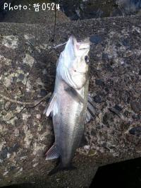 �����Х�