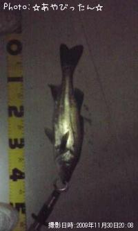 �����Х�