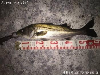 �����Х�