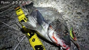 �����饯��������