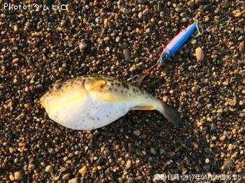 �����ե�