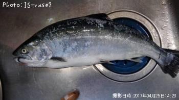 ������ޥ�