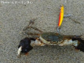 �⥯�������