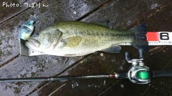 �֥�å��Х�