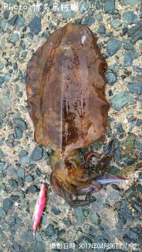 ¥¢¥ª¥ê¥¤¥«