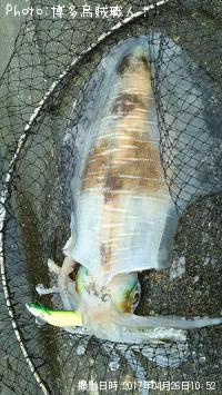 �����ꥤ��