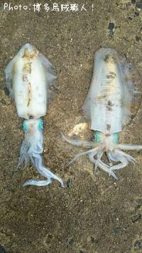 �����ꥤ��