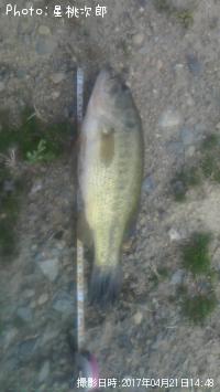 �֥�å��Х�