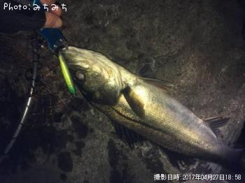 �����Х�