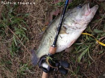 �֥�å��Х�