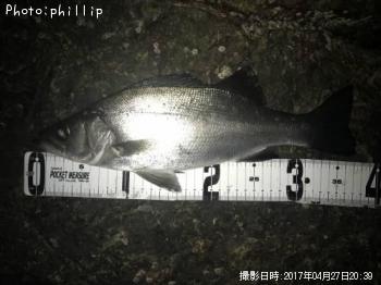 �ҥ饻����