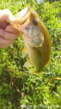 ¥Ö¥é¥Ã¥¯¥Ð¥¹