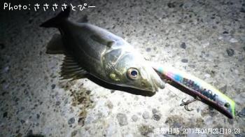 �����Х�����Х�