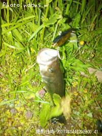 �֥�å��Х�