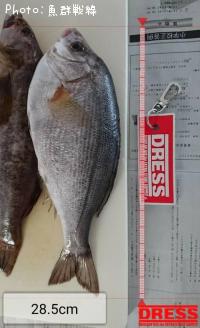 �����ʥ�