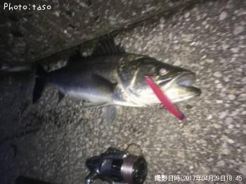 �����Х�