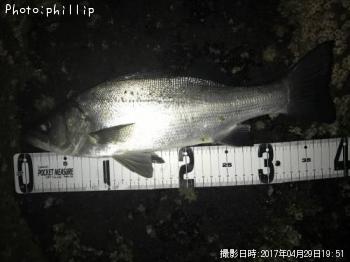 �ҥ饻����