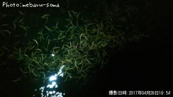 �Х��ʥͥ���