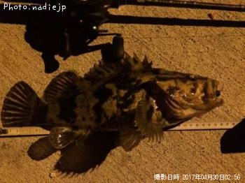 ��饽��