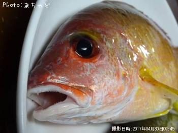 ���ӥ��ʥ����ڥ����ե�������