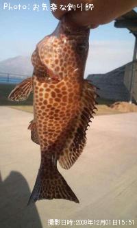 ¥ª¥ª¥â¥ó¥Ï¥¿