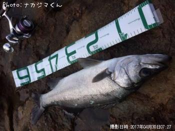 �ҥ饹����