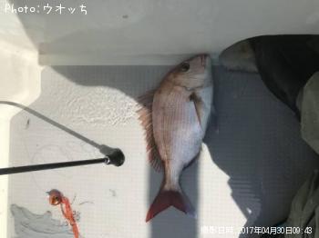 �ޥ���