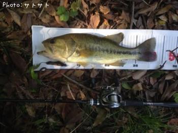 �֥�å��Х�