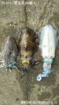 �����ꥤ������������