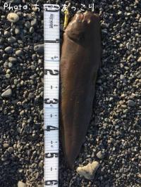 �����ӥ��