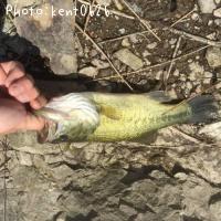 ¥Ö¥é¥Ã¥¯¥Ð¥¹