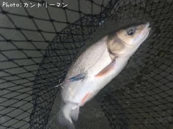 �ޥ륿������