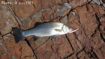 �ҥ饹����