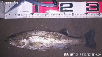 �����Х�