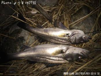 �����Х�