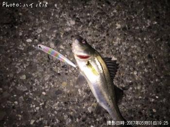 �����Х�