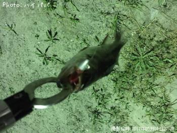 �����Х�