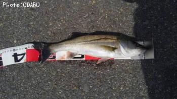 �����Х�