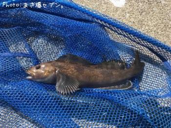 �����ʥ�