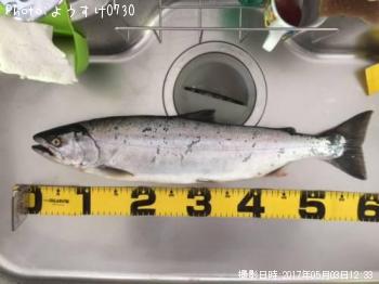 ������ޥ�