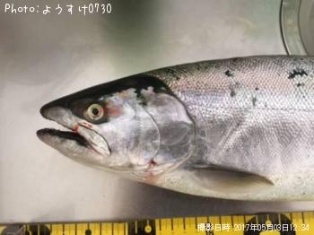 ������ޥ�