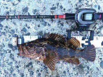 ¥¿¥±¥Î¥³¥á¥Ð¥ë