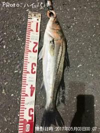 �����Х�