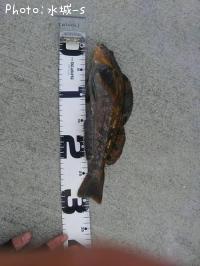 �����ʥ�