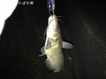 ����ꥫ�ʥޥ�