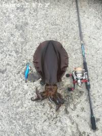 �����ꥤ��