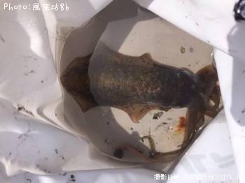 �����ꥤ��